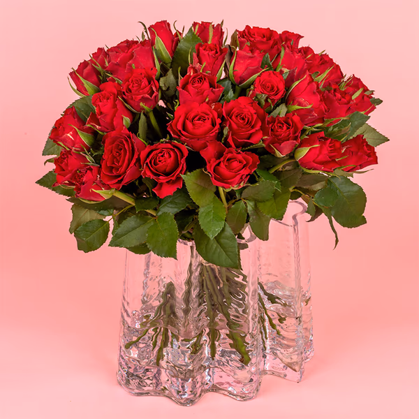 Red roses
