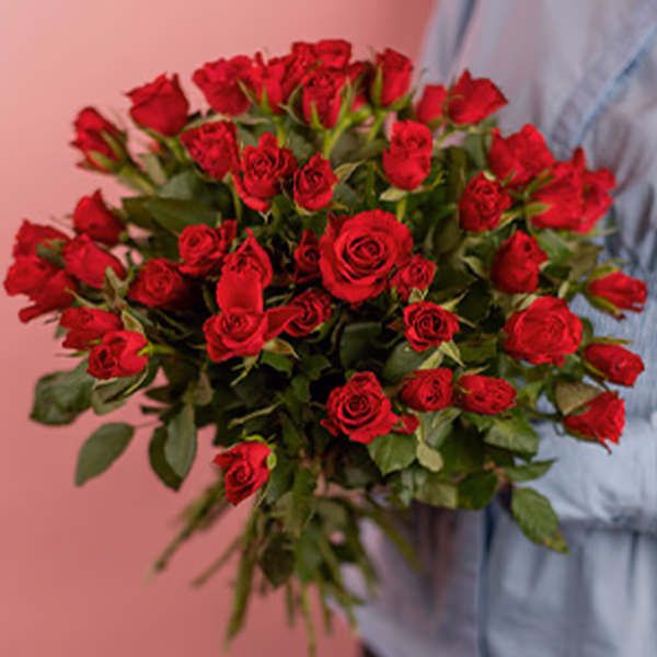 Red Roses