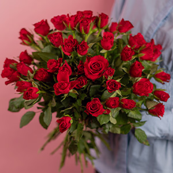 Red Roses