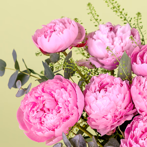 pink peonies