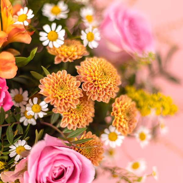 pink and orange flowers