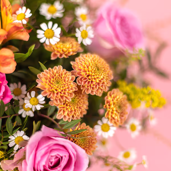 carnations