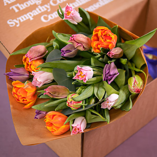 Flowers By Colour