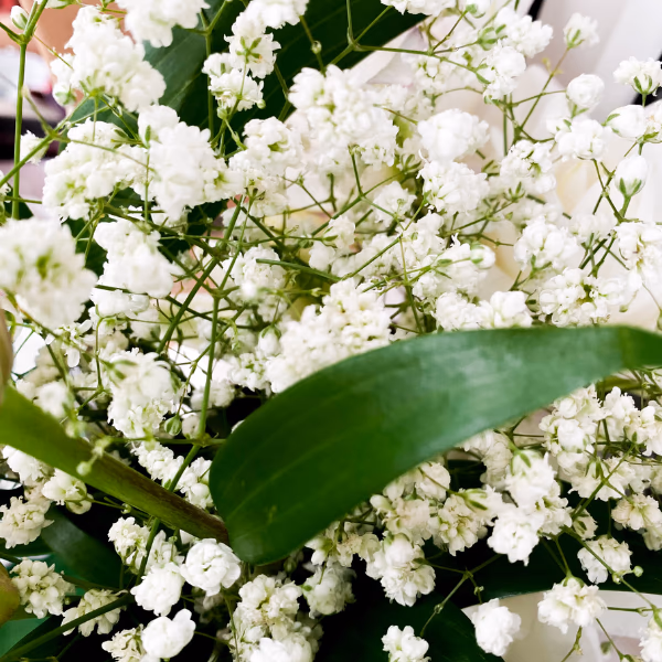 Schleierkraut Blumenstrauß