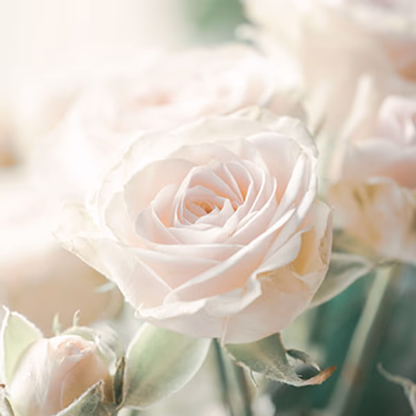 white flowers