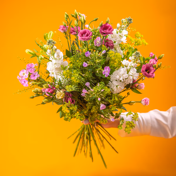 Summer Flowers