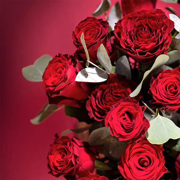 Red roses