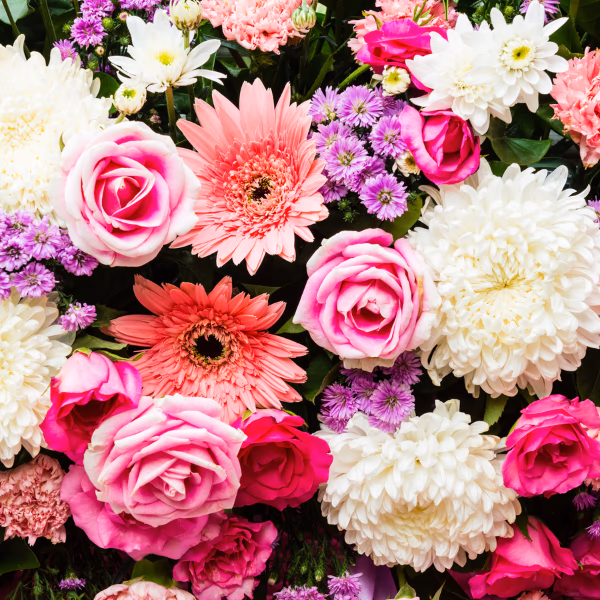 Blumenwissen