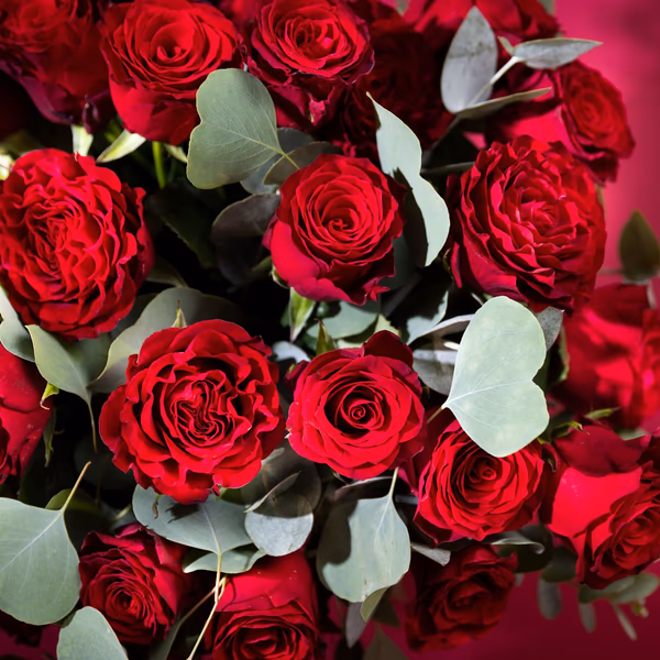 Roses