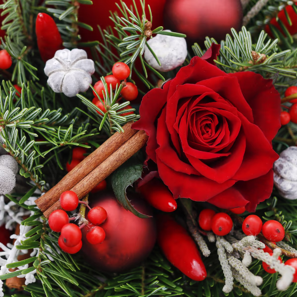 Die besten Alternativen zum Weihnachtsbaum