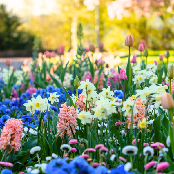 Frühling