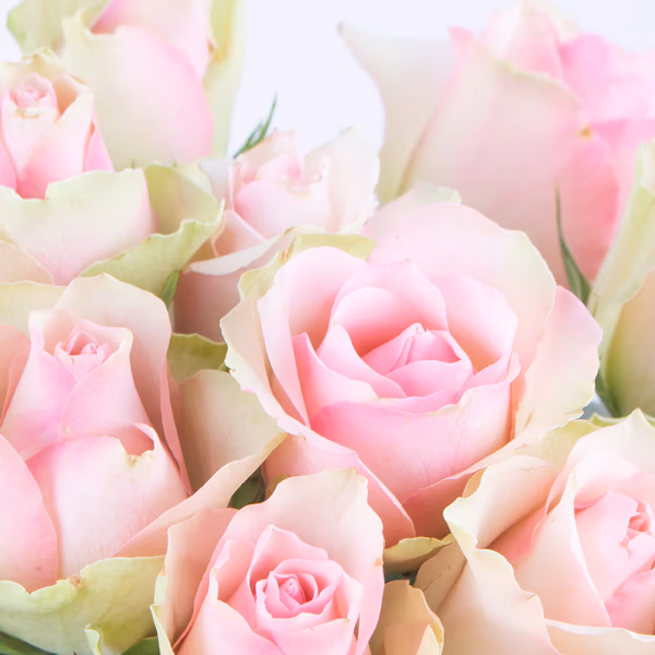 Rosa Blumensträuße