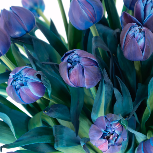 Blaue Blumensträuße