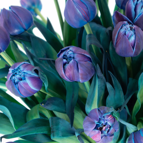 Blue Flower Bouquets