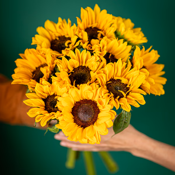 Yellow Flowers