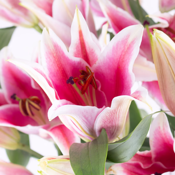Pink Flower Bouquets