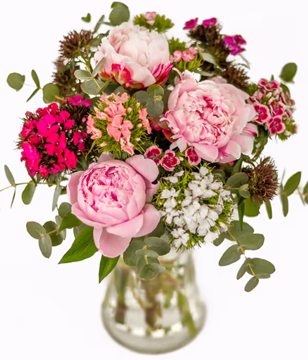 Peonies and Sweet Williams