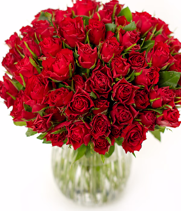 DE12BQTHT01S_NEW-RESIZED.jpg