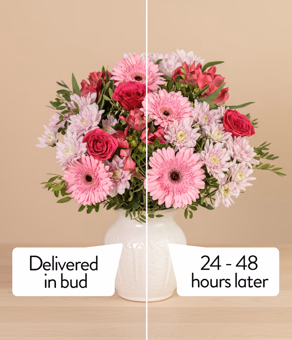 NP26BOX0191_2.png
