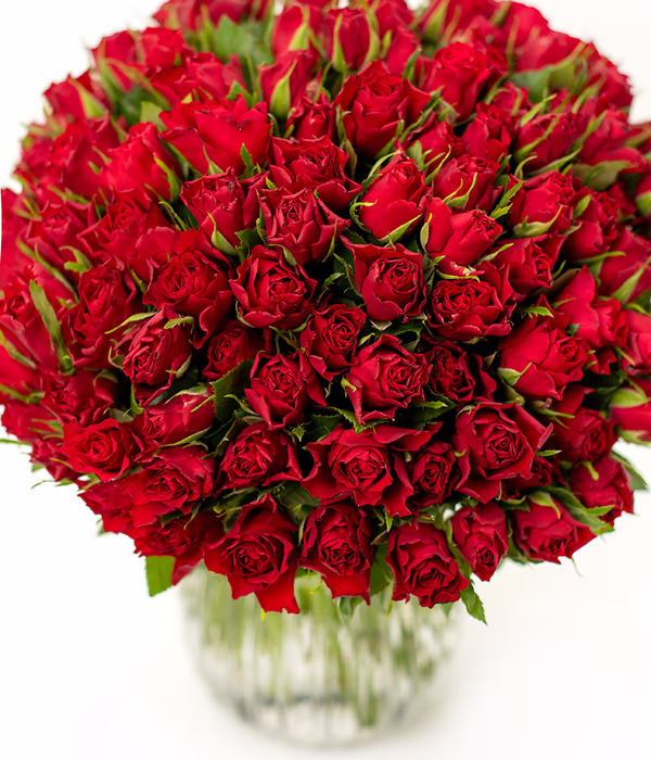 50 Red Roses