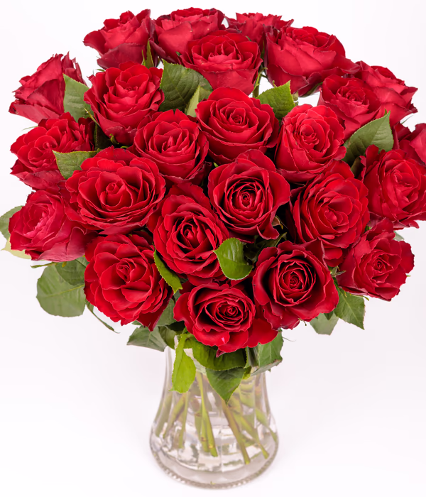 Devoted Roses