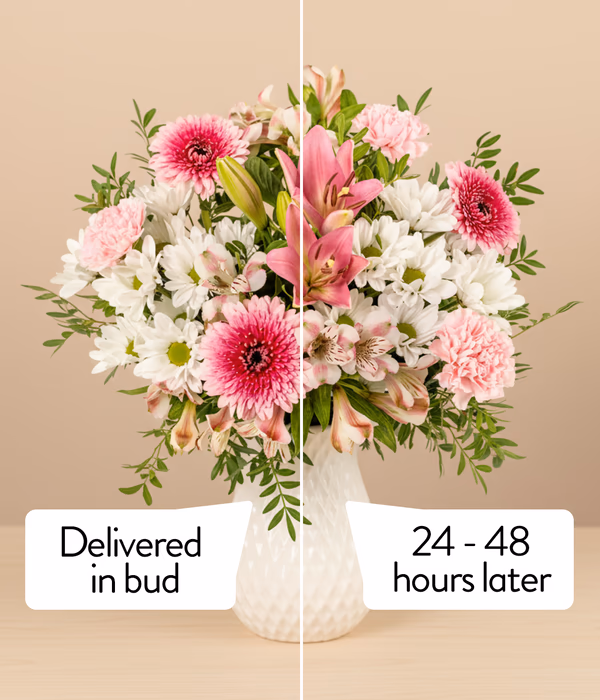 NP26BOX0188_4.png