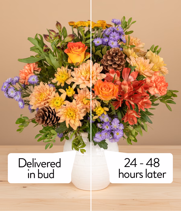 NP26BOX0212_3.png