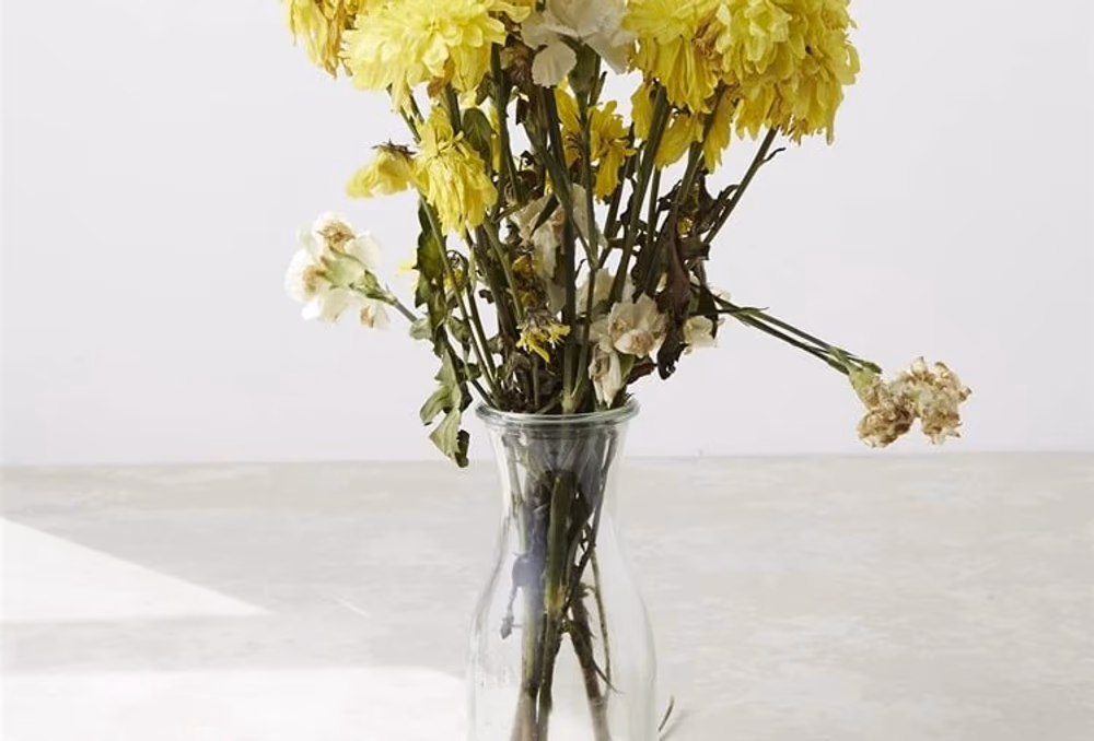 Wilted dying flowers in a vase