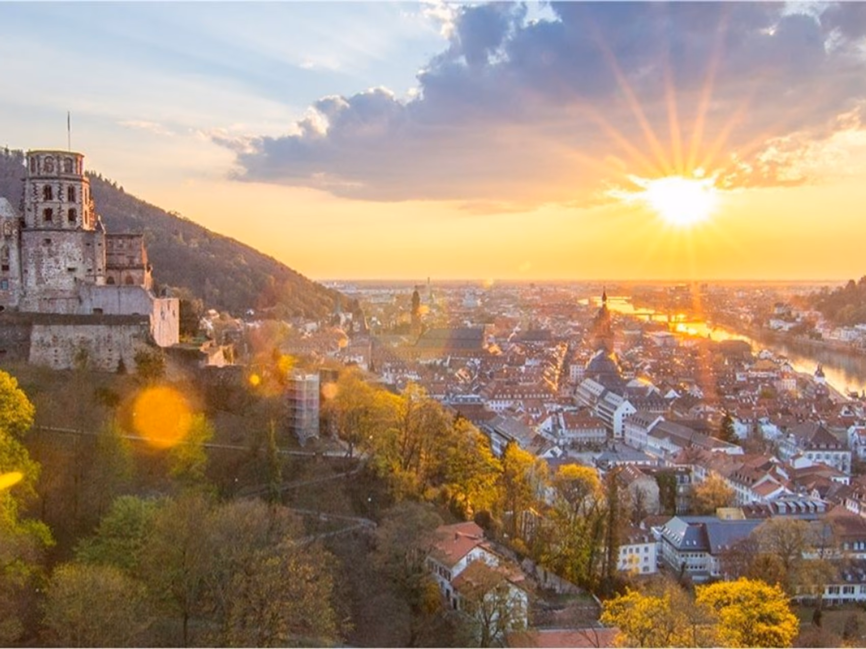 Flower delivery in Heidelberg