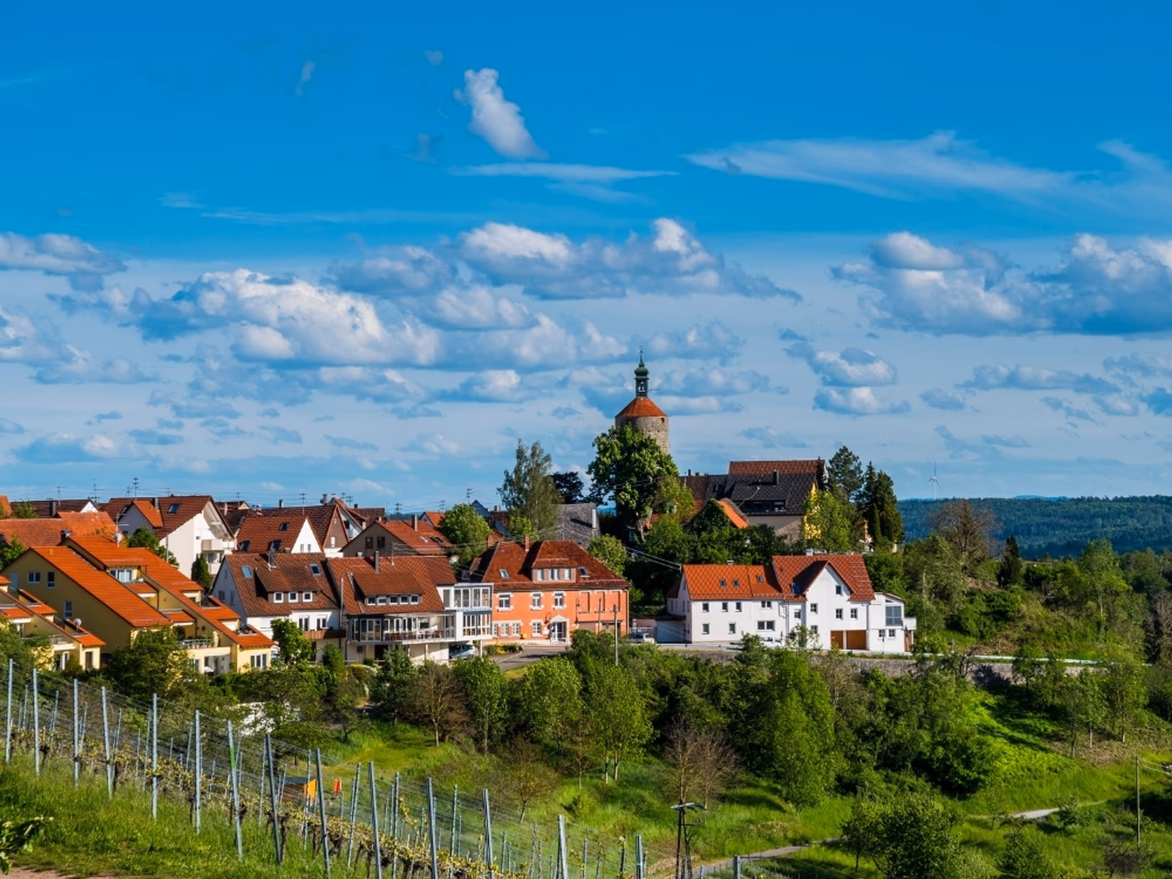 Flower Delivery in Winnenden