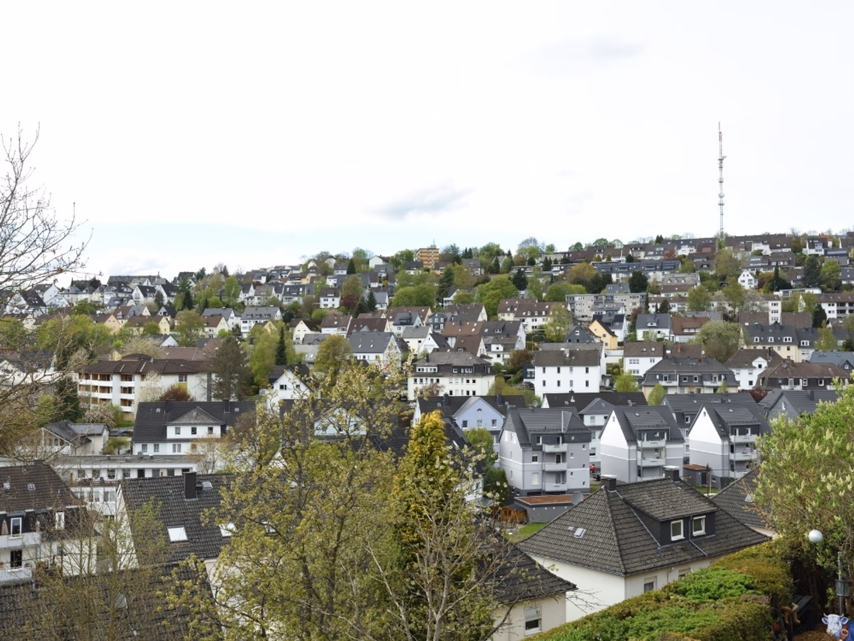Flower Delivery in Siegen