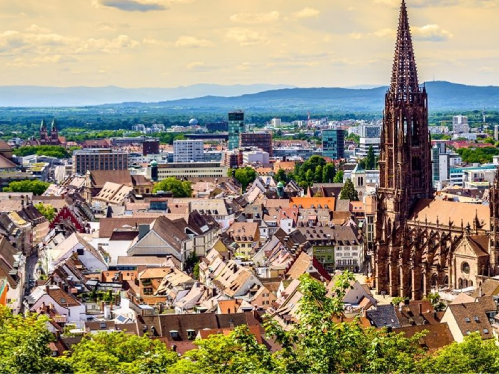 Flower delivery in Freiburg