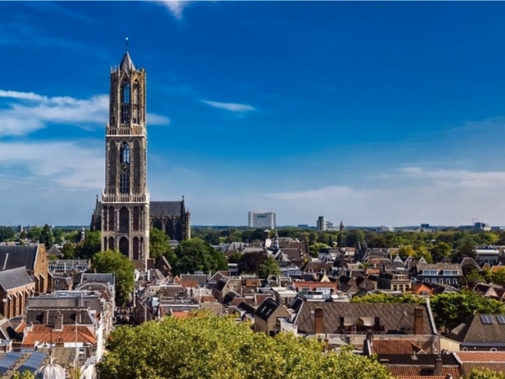 Blumenlieferung in Utrecht