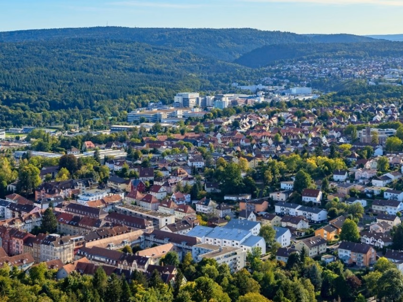 Blumenlieferung in Pforzheim
