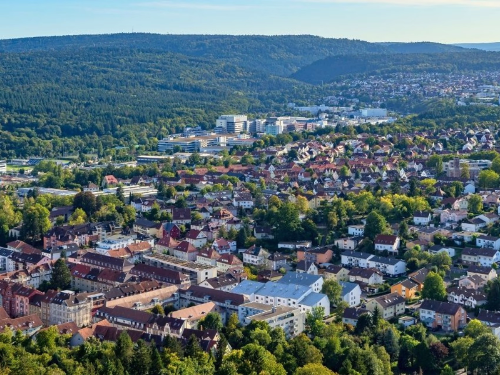 Flower delivery in Pforzheim