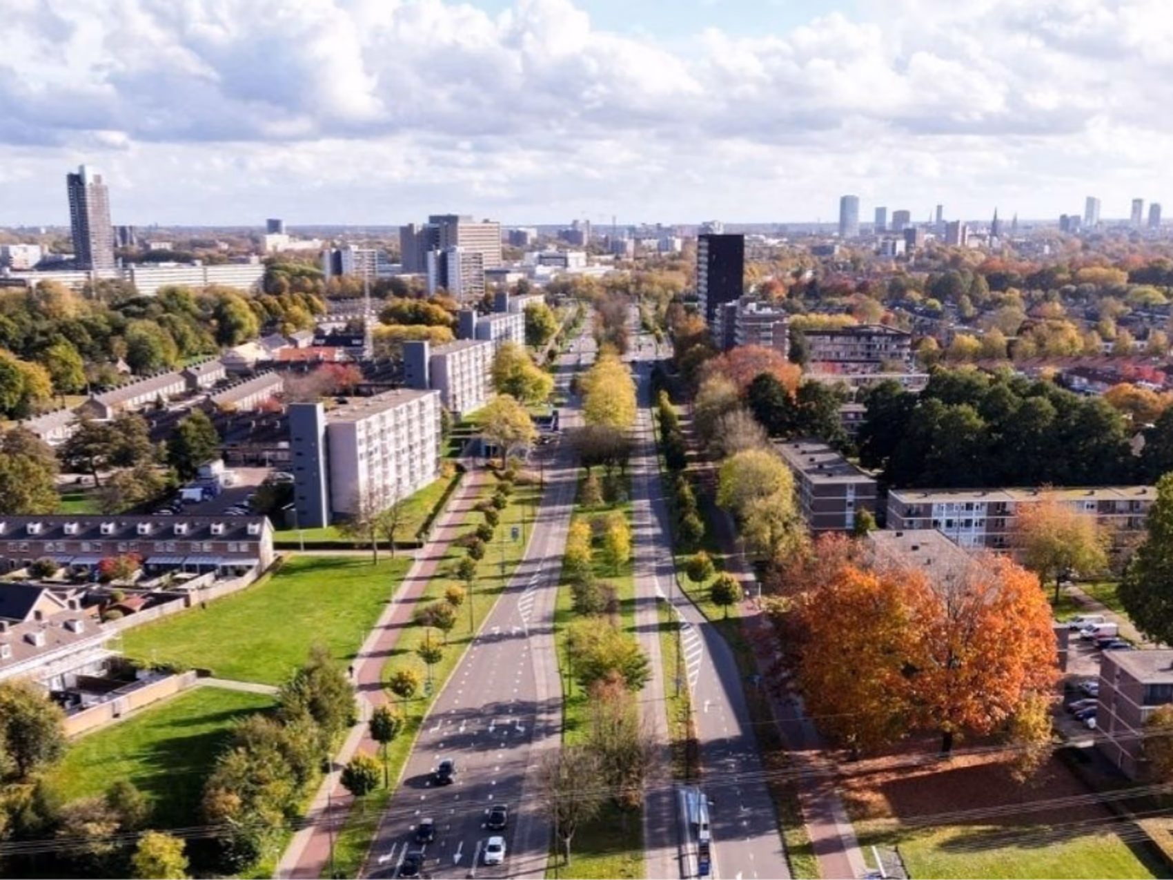 Blumenlieferung in Eindhoven