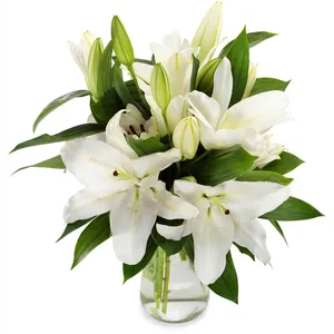 White lilies