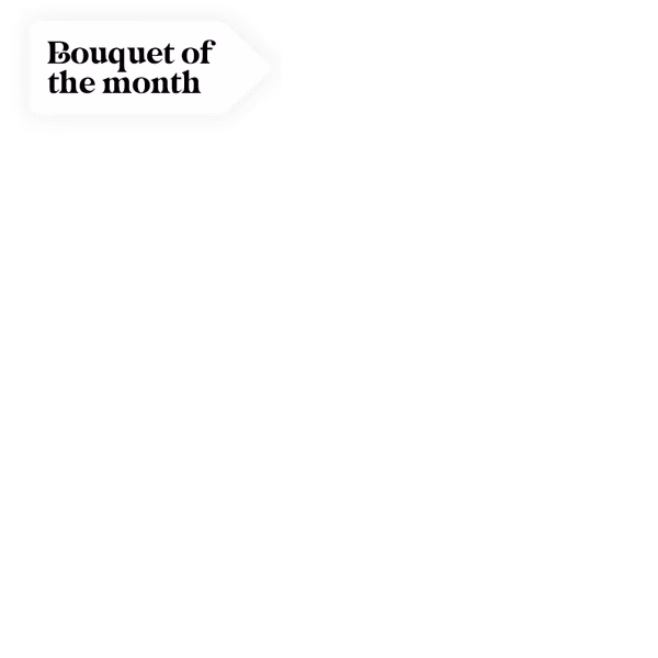 Bouquet of the month