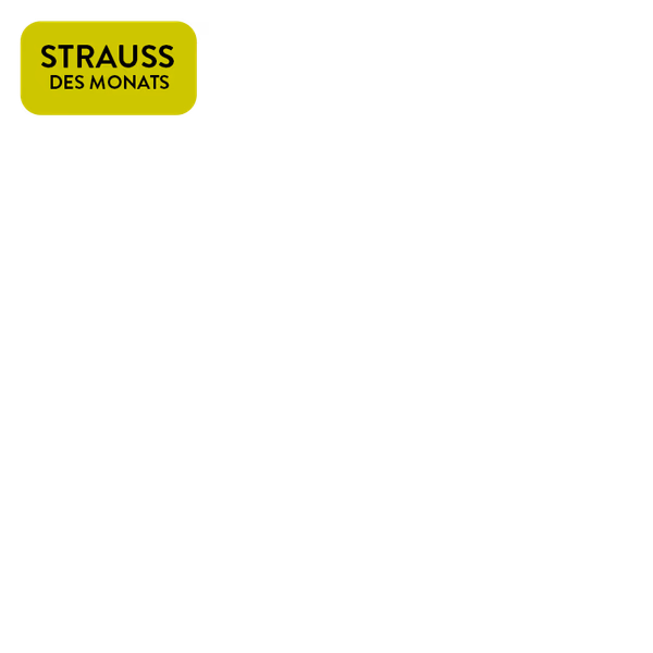 https://static.euroflorist.com/img/scale/600/600/magnolia/jcr:5c771e28-3045-4d35-8829-3b08d796b218/strauss-des-monats.2026-06-01-09-29-31.png