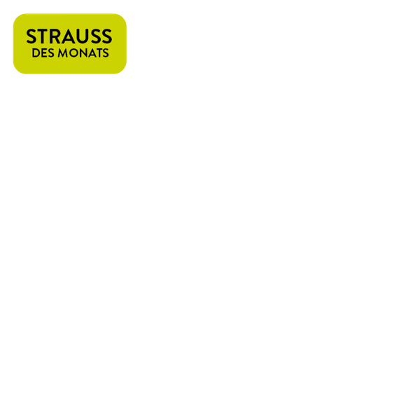 https://static.euroflorist.com/img/scale/600/600/magnolia/jcr:5c771e28-3045-4d35-8829-3b08d796b218/strauss-des-monats.png