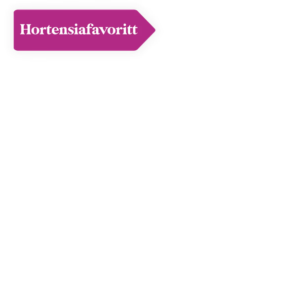 Hortensiafavoritt