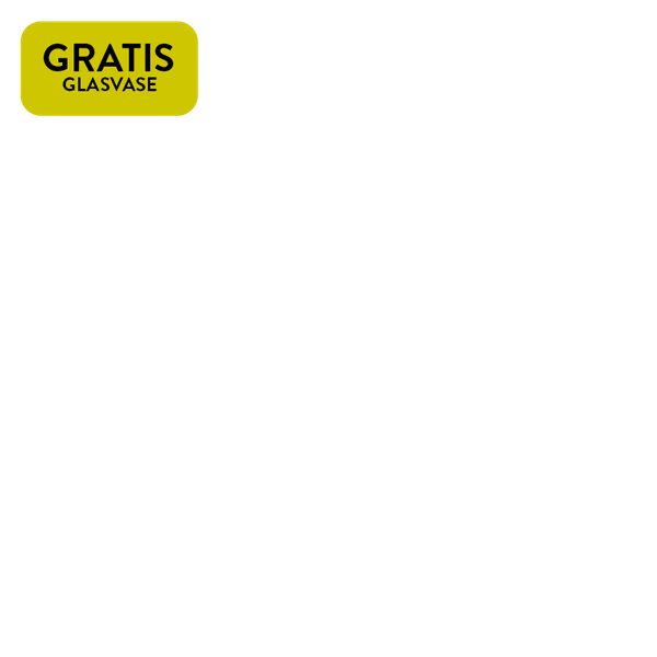 https://static.euroflorist.com/img/scale/600/600/magnolia/jcr:b13e8067-2e54-4eb4-869b-573c2345f8c0/gratis-glasvase.png