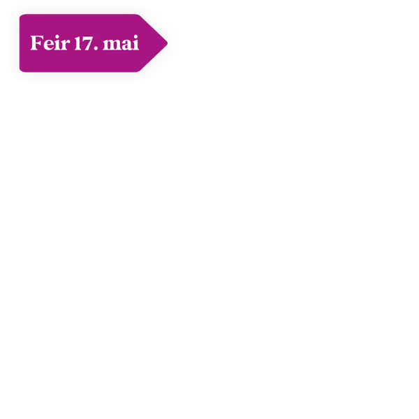 Feir 17. mai