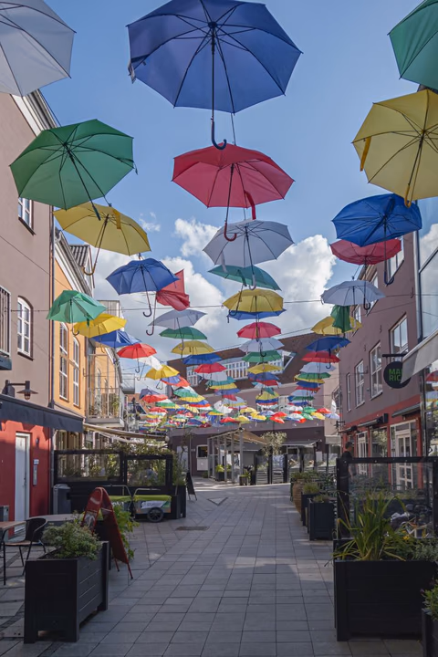 Overrask med en smuk blomsterlevering hele vejen til Vejle.