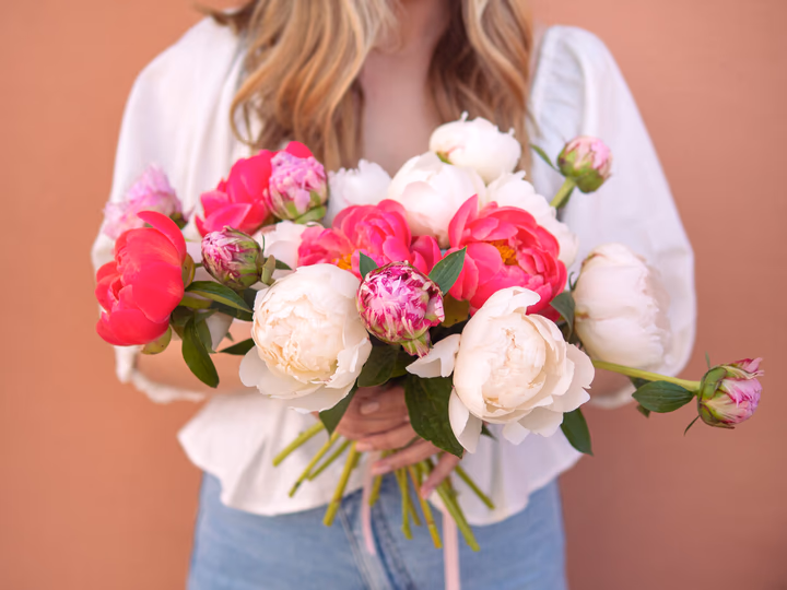 Take care of your Peonies