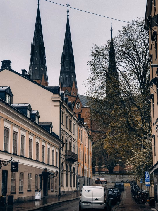 Does your person live in Uppsala? Send a beautiful flower delivery there.