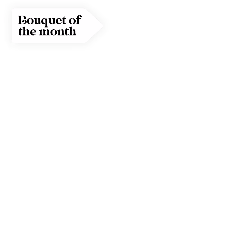 Bouquet of the month